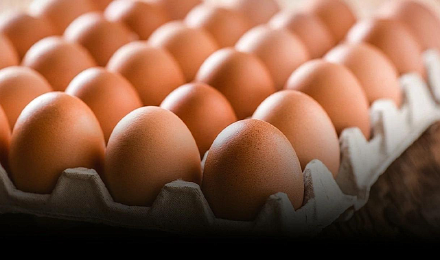 &quot;İçimizde çürük yumurtalar varsa ayıklansın&quot;