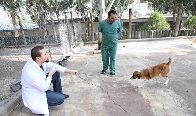 Karşıyaka&#039;nın ampute köpekleri emin ellerde