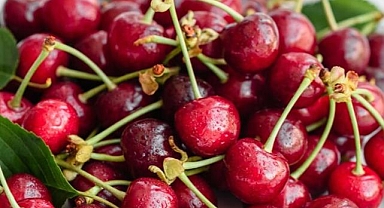 Kemalpaşa kirazında zarar çok büyük!