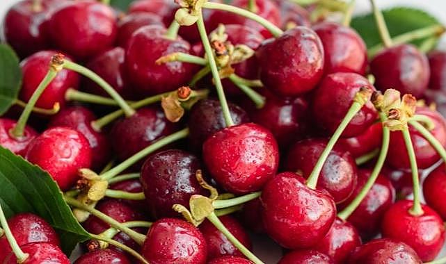 Kemalpaşa kirazında zarar çok büyük!