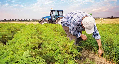 Menderes'te Ücretsiz Toprak Analizi