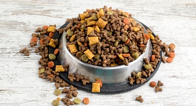 Türkiye dünyanın kedi köpek maması ihtiyacını karşılıyor