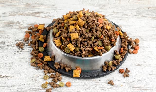 Türkiye dünyanın kedi köpek maması ihtiyacını karşılıyor