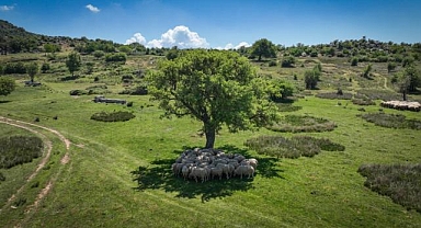 Başka Bir Tarım Sertifikasyonu uluslararası geçerlilik kazandı