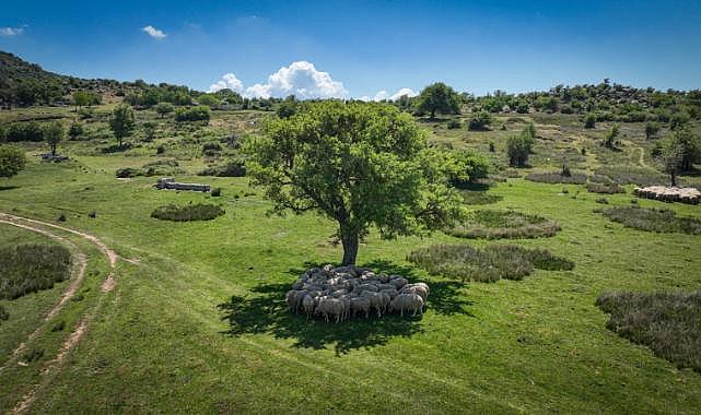 Başka Bir Tarım Sertifikasyonu uluslararası geçerlilik kazandı