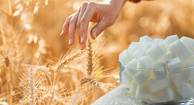 Buğday Rusya'dan şeker Mısır'dan