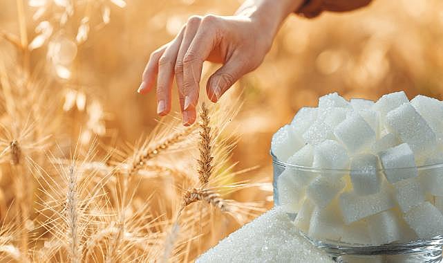 Buğday Rusya&#039;dan şeker Mısır&#039;dan