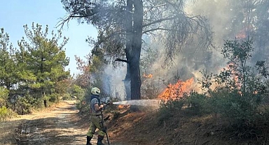 Çanakkale'deki yangına İzmir'den destek