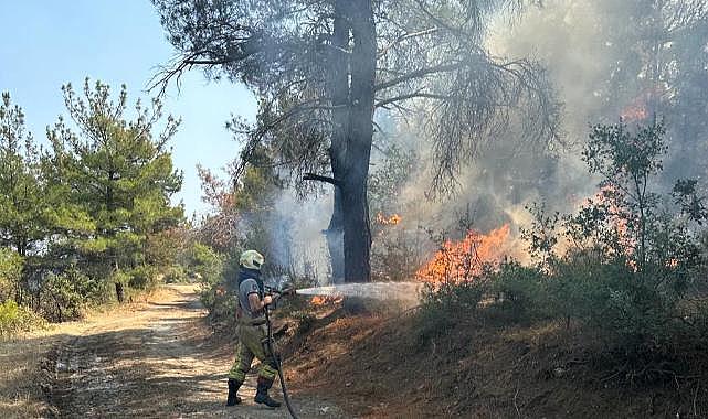 Çanakkale&#039;deki yangına İzmir&#039;den destek