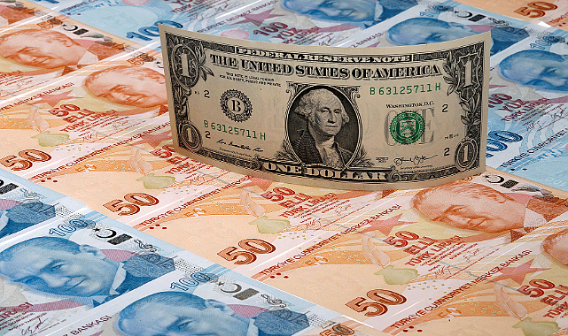 Dolar/TL&#039;de yeni zirve!!