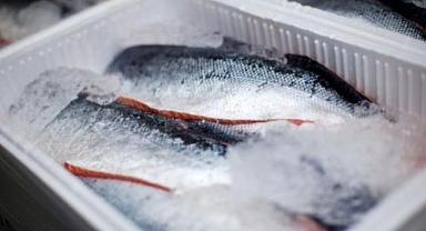 Dondurulmuş balık alırken dikkat!