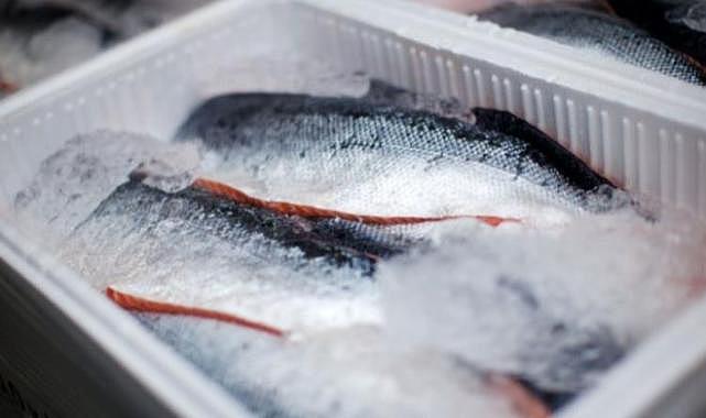 Dondurulmuş balık alırken dikkat!