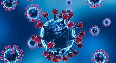 Eris varyantı alarmı: DSÖ diken üstünde