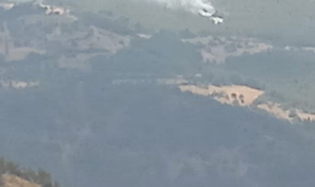 İzmir&#039;de 2 orman yangını yaklaşık 30 dakikada kontrol altına alındı