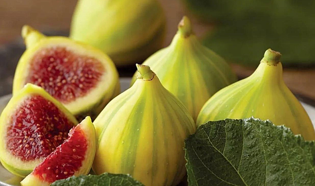 İzmir&#039;de bir festival iptal edildi! Başkan nedenini açıkladı