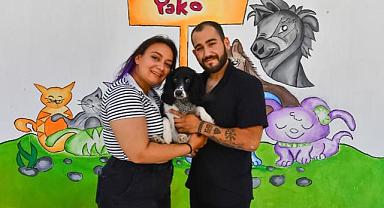 İzmirli gençler Hatay’dan gelen depremzede köpeği sahiplendi