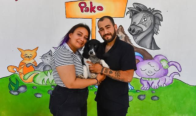 İzmirli gençler Hatay’dan gelen depremzede köpeği sahiplendi