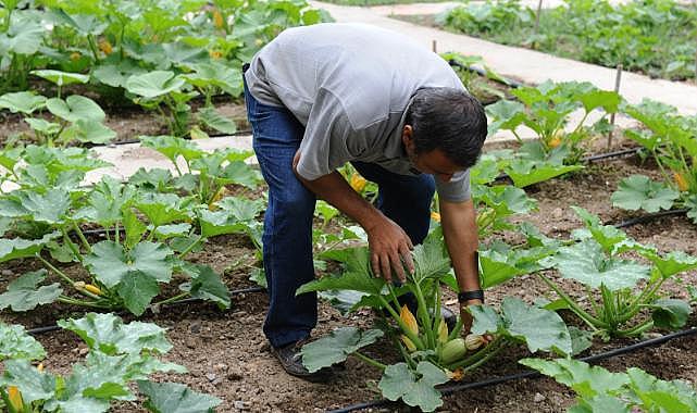 Karşıyaka Belediyesi gıda krizine karşı Türkiye’de bir ilke imza attı