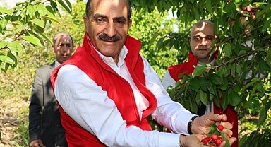 Kirazda rekor yılı: 205 milyon dolara ulaştı