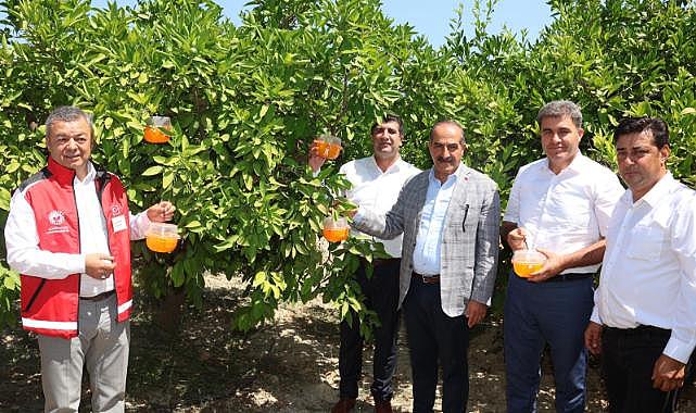 Narenciyede kalıntı sorunu kalmayacak