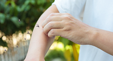 Sivrisinek Isırmasına Dikkat!