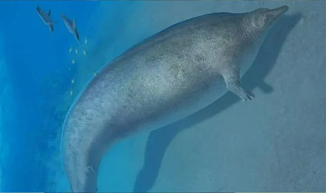 Tam 39 milyon yaşında! Dünyanın en ağır hayvanının fosili bulundu