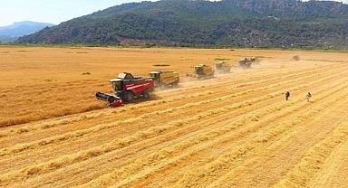 Tarımda üretici enflasyonu temmuzda sert yükseldi