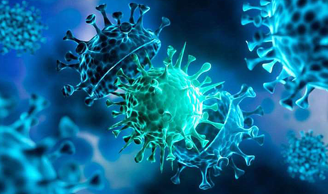 Tüm Covid varyantlarına karşı etkili bir antikor keşfedildi