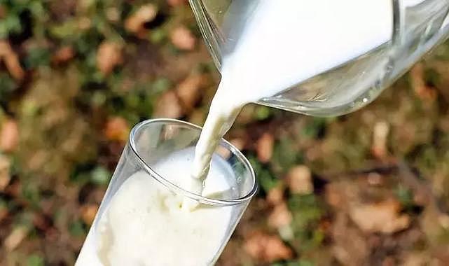 Türkiye Yüzyılı: Bir litre süt 40 liraya dayandı