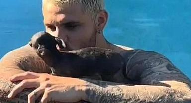 Wanda Nara paylaştı: Icardi, küçük köpeğiyle böyle vakit geçirdi!