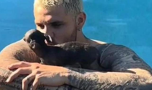 Wanda Nara paylaştı: Icardi, küçük köpeğiyle böyle vakit geçirdi!