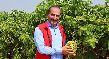 Yaş üzümde 200 milyon dolar aşılacak