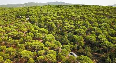 Bir taş ocağı daha yolda… Kozak kan ağlıyor