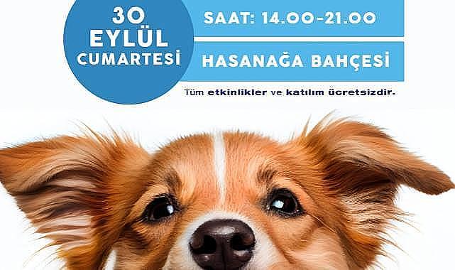 hayvanseverler Buca&#039;da buluşacak