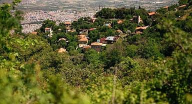 İzmir'de asırlık ağaçlarla çevrili yemyeşil bir köy: Kaplan Köyü'nde huzuru bulacaksınız