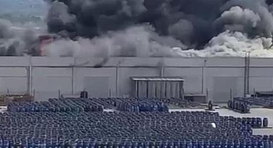 İzmir'de palet fabrikasında büyük yangın