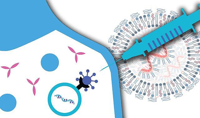 Kanser nedeniyle birkaç ay içinde ölecek olan Taylor, yeni mRNA aşıları sayesinde iyileşmeye başladı