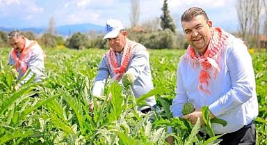 Mandalina, zeytin, enginar, lavanta, karakılçık buğdayı... Seferihisar'ın yüzü tarımla gülüyor