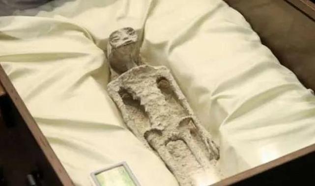 Meksika Kongresi&#039;nde gösterilenler gerçekten uzaylı mı?