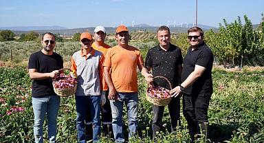 Seferihisar’da ‘ekinezya’ hasadı heyecanı