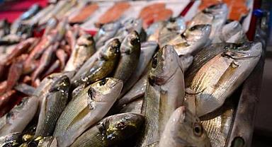 Balık sezonu açıldı: İzmir'de balık fiyatları ne kadar?