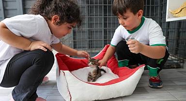 Buca Belediyesi miniklere hayvan sevgisi aşılıyor