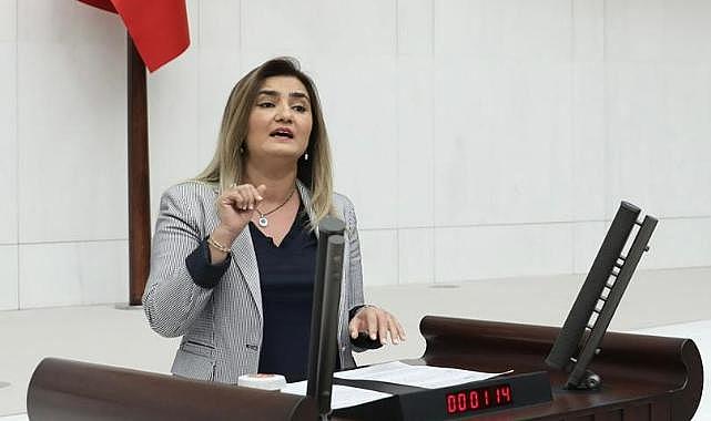 CHP İzmir Milletvekili Kılıç&#039;tan yeni Anayasa çıkışı