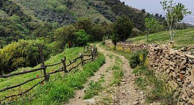 Efeler Yolu, En İyi 100 Hikâye listesinde