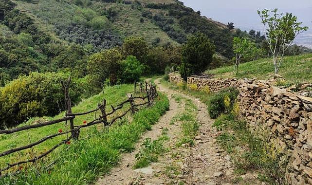 Efeler Yolu, En İyi 100 Hikâye listesinde