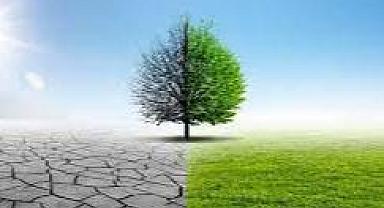 İzmir ve Lubliyana güçlerini birleştirdi: Kuraklıkla mücadele edilecek