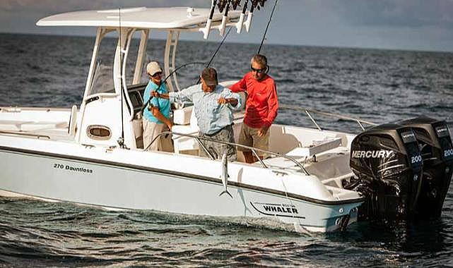 Seferihisar&#039;da dev balık 100 bin TL&#039;lik oltayı götürdü!