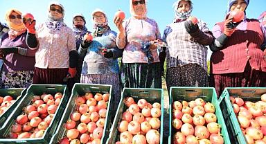 Üreticiye destek sürüyor: 'Nar Neşesi Şen Tanesi Şenliği' bu pazar Zeytinköy'de