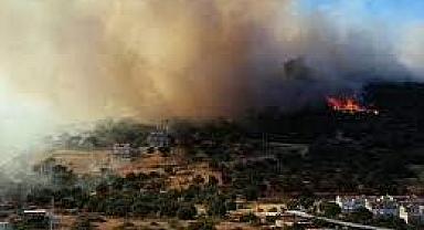 İzmir Dikili'de yangın çıktı