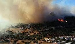 İzmir Dikili&#039;de yangın çıktı